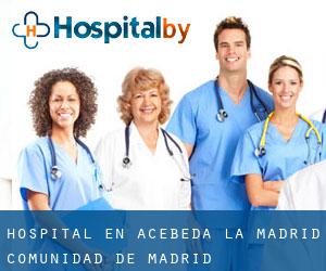 hospital en Acebeda (La) (Madrid, Comunidad de Madrid)