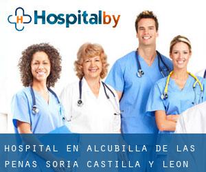 hospital en Alcubilla de las Peñas (Soria, Castilla y León)
