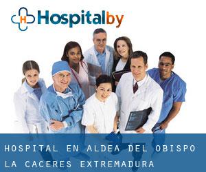 hospital en Aldea del Obispo (La) (Cáceres, Extremadura)