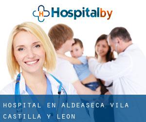 hospital en Aldeaseca (Ávila, Castilla y León)