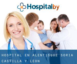 hospital en Alentisque (Soria, Castilla y León)