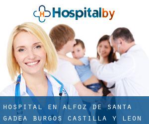 hospital en Alfoz de Santa Gadea (Burgos, Castilla y León)