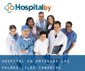 hospital en Artenara (Las Palmas, Islas Canarias)