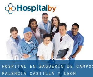 hospital en Baquerín de Campos (Palencia, Castilla y León)