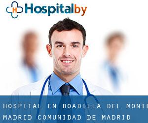 hospital en Boadilla del Monte (Madrid, Comunidad de Madrid)