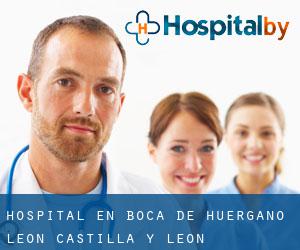 hospital en Boca de Huérgano (León, Castilla y León)