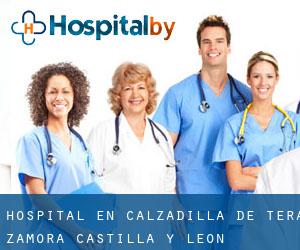 hospital en Calzadilla de Tera (Zamora, Castilla y León)