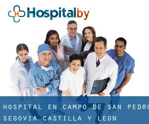hospital en Campo de San Pedro (Segovia, Castilla y León)