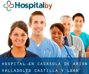 hospital en Casasola de Arión (Valladolid, Castilla y León)
