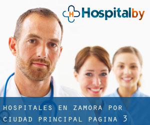 hospitales en Zamora por ciudad principal - página 3