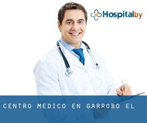 Centro médico en Garrobo (El)