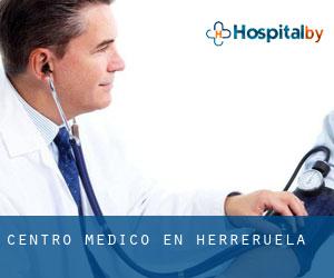 Centro médico en Herreruela