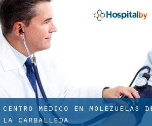 Centro médico en Molezuelas de la Carballeda
