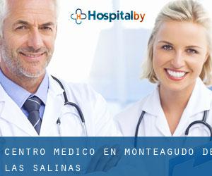 Centro médico en Monteagudo de las Salinas