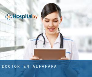 Doctor en Alfafara