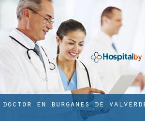 Doctor en Burganes de Valverde