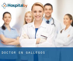 Doctor en Gallegos