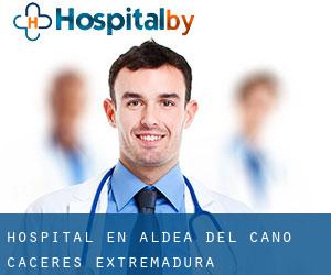 hospital en Aldea del Cano (Cáceres, Extremadura)