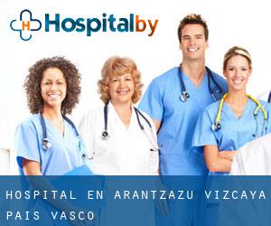 hospital en Arantzazu (Vizcaya, País Vasco)