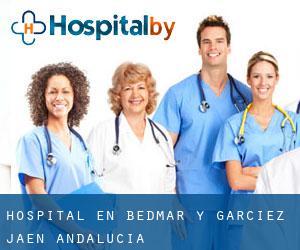 hospital en Bedmar y Garcíez (Jaén, Andalucía)