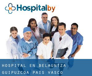 hospital en Belauntza (Guipúzcoa, País Vasco)