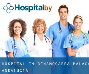 hospital en Benamocarra (Málaga, Andalucía)