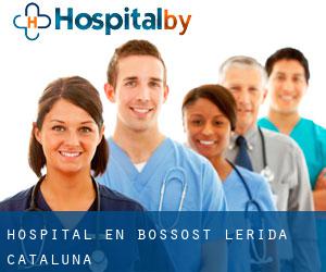 hospital en Bossòst (Lérida, Cataluña)