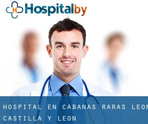 hospital en Cabañas Raras (León, Castilla y León)