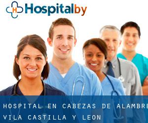 hospital en Cabezas de Alambre (Ávila, Castilla y León)
