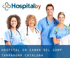 hospital en Cabra del Camp (Tarragona, Cataluña)