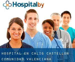 hospital en Càlig (Castellón, Comunidad Valenciana)