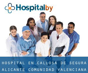 hospital en Callosa de Segura (Alicante, Comunidad Valenciana)