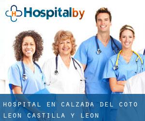 hospital en Calzada del Coto (León, Castilla y León)
