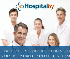 hospital en Cubo de Tierra del Vino (El) (Zamora, Castilla y León)