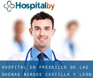 hospital en Fresnillo de las Dueñas (Burgos, Castilla y León)