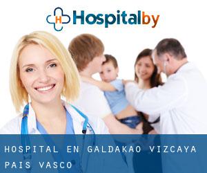 hospital en Galdakao (Vizcaya, País Vasco)