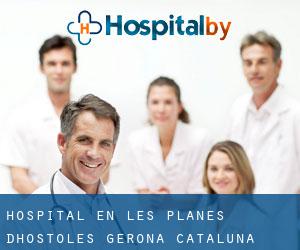 hospital en les Planes d'Hostoles (Gerona, Cataluña)