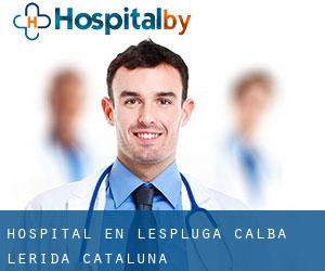 hospital en l'Espluga Calba (Lérida, Cataluña)
