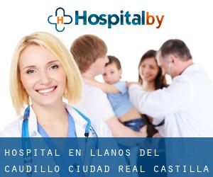 hospital en Llanos del Caudillo (Ciudad Real, Castilla-La Mancha)