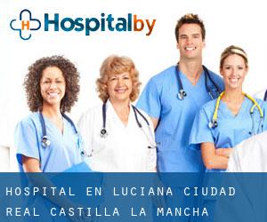 hospital en Luciana (Ciudad Real, Castilla-La Mancha)