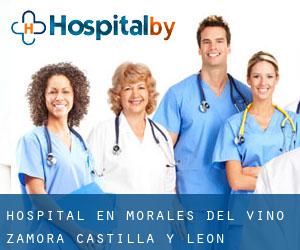 hospital en Morales del Vino (Zamora, Castilla y León)