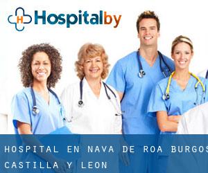 hospital en Nava de Roa (Burgos, Castilla y León)