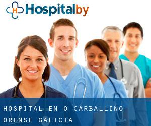 hospital en O Carballiño (Orense, Galicia)