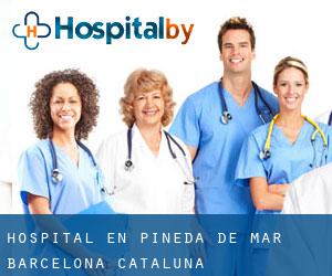 hospital en Pineda de Mar (Barcelona, Cataluña)