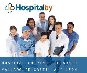 hospital en Piñel de Abajo (Valladolid, Castilla y León)