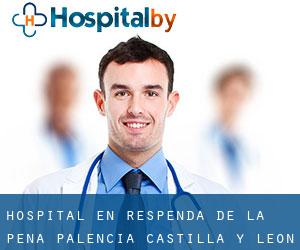 hospital en Respenda de la Peña (Palencia, Castilla y León)