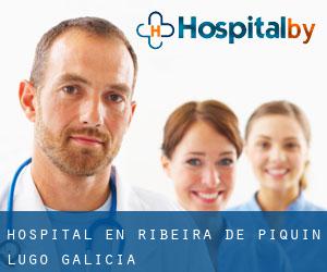 hospital en Ribeira de Piquín (Lugo, Galicia)