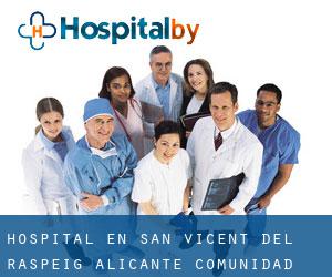 hospital en San Vicent del Raspeig (Alicante, Comunidad Valenciana)