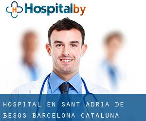 hospital en Sant Adrià de Besòs (Barcelona, Cataluña)